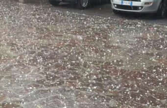 Violenta grandinata, albero caduto in tangenziale ovest. Traffico molto rallentato