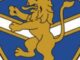 Union Brescia, ora è ufficiale: acquisiti logo storico Brescia Calcio e “V”