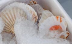Garda, sequestrati e distrutti 130 chili di cibo “non idoneo”
