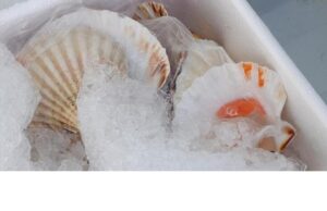Garda, sequestrati e distrutti 130 chili di cibo “non idoneo”