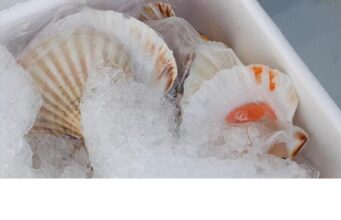 Garda, sequestrati e distrutti 130 chili di cibo “non idoneo”