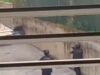 Orzinuovi, sgominata banda di rapinatori. Spari durante la fuga