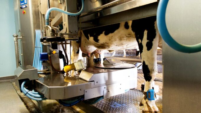 Mungitura robotizzata a Brescia ci sono 204 impianti