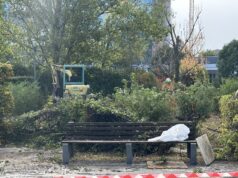 Parco Tarello, al via i lavori anti degrado: potatura delle siepi e più controlli
